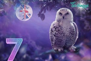 Viaggio nel Regno Unito, l'itinerario nel mondo di Harry Potter