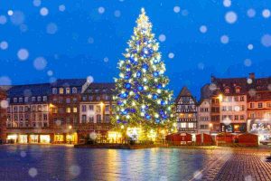10 alberi più belli del mondo