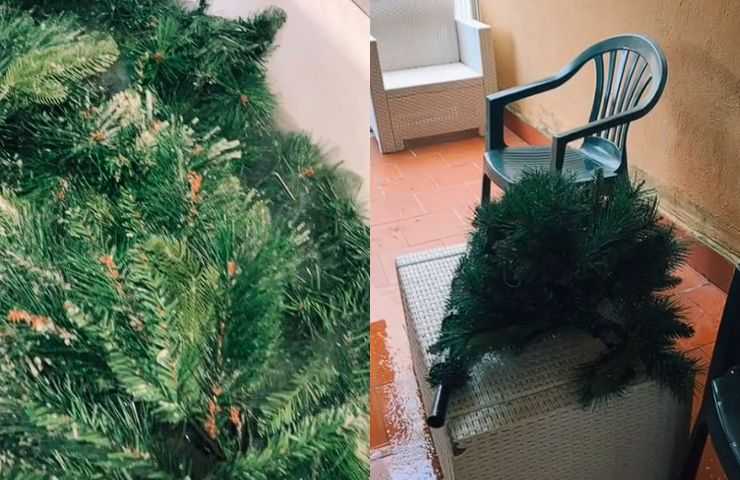 pulizia albero di Natale