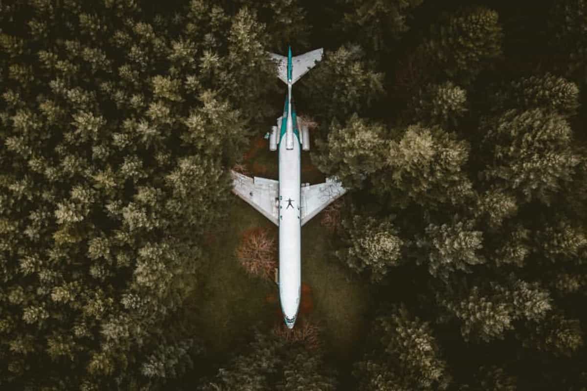 uomo aereo bosco