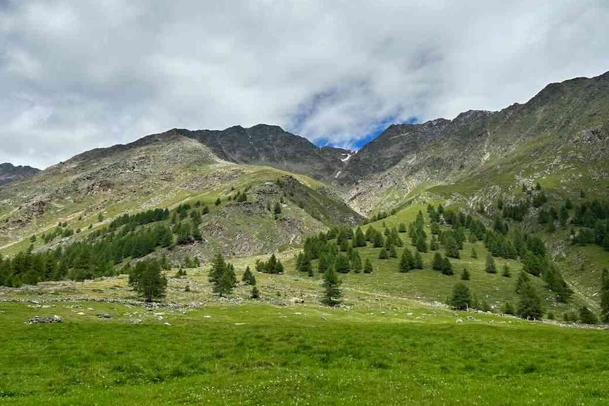 Trentino alto adige