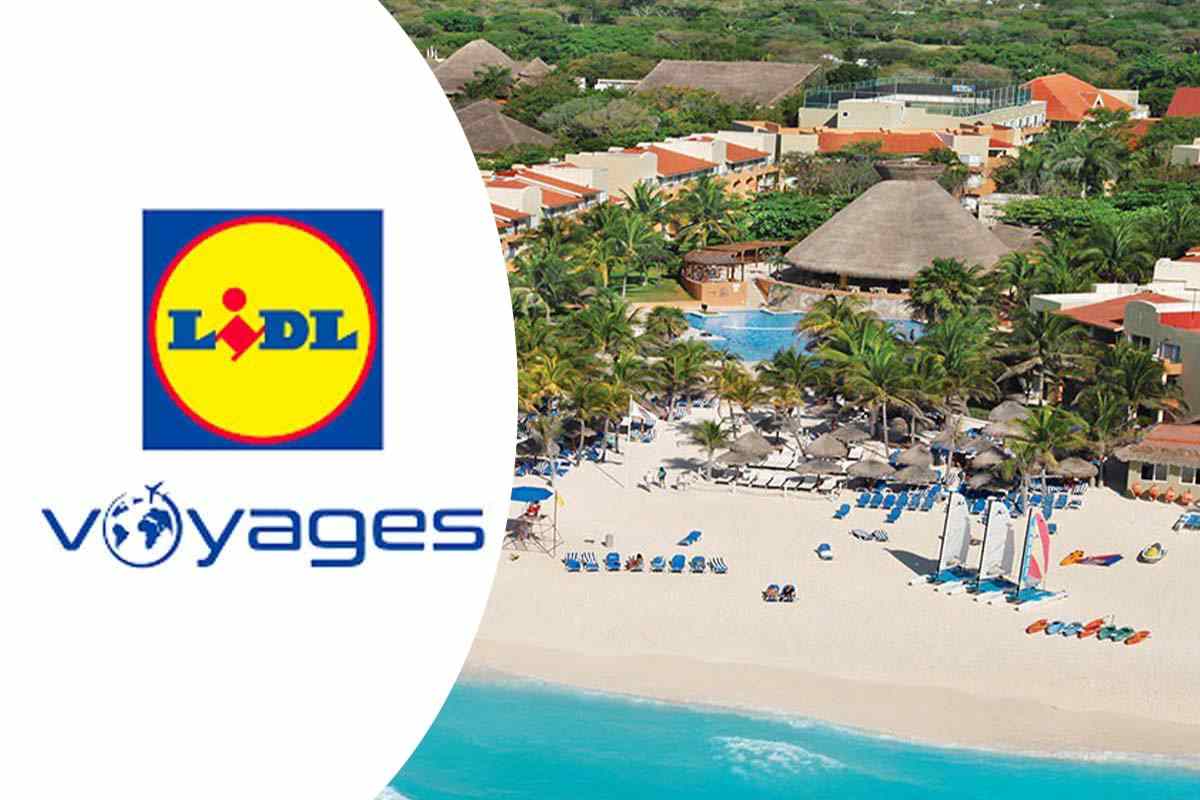 Lidl viaggi