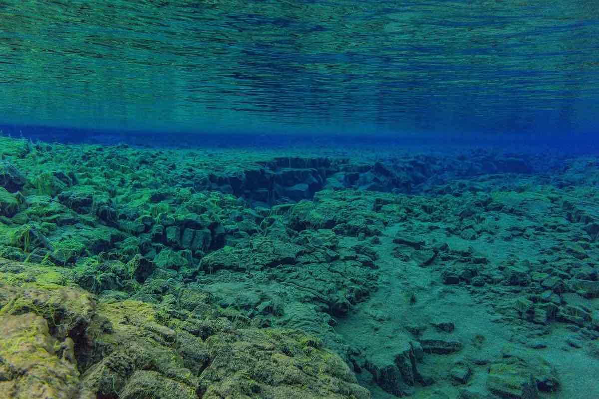 Allerta fondo degli oceani