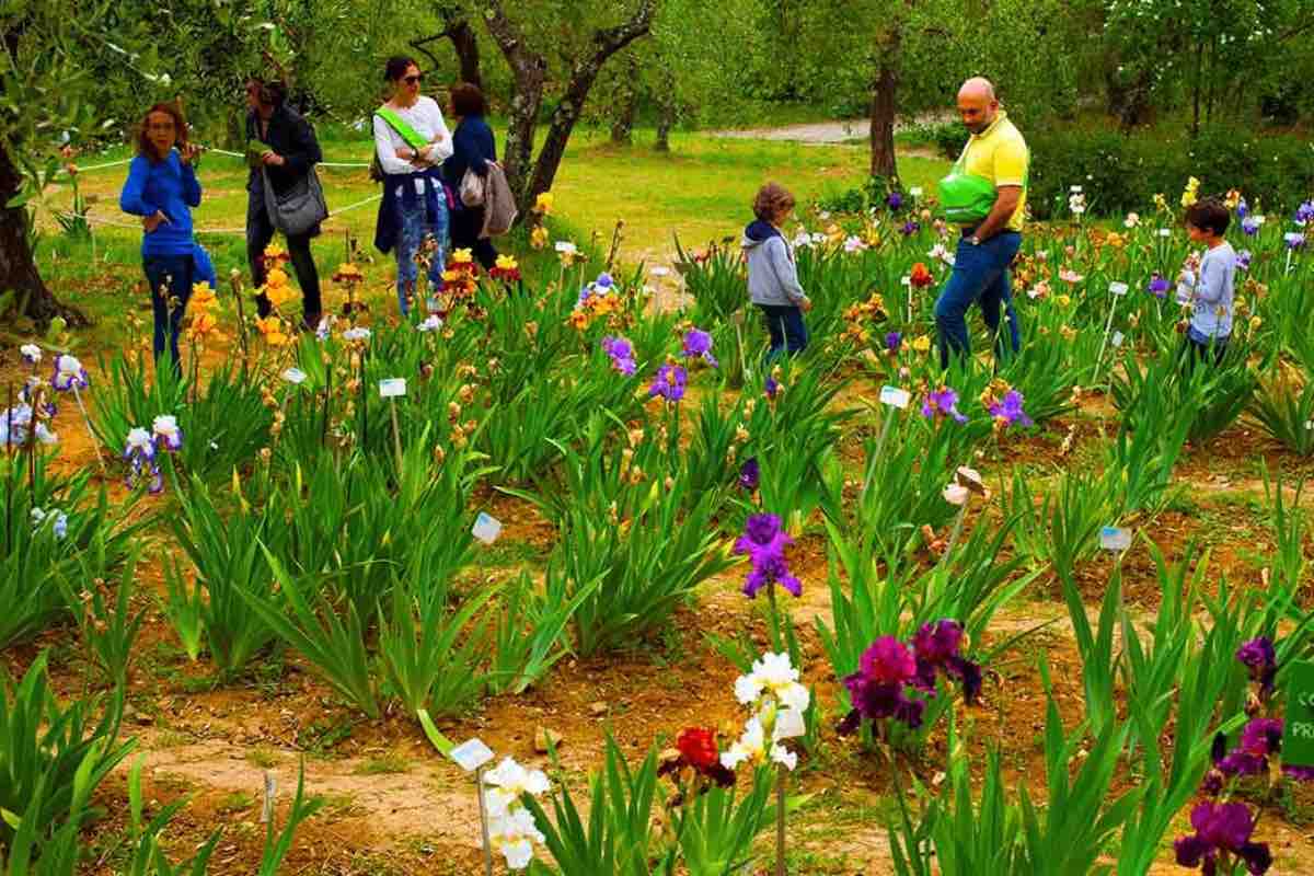 Bellissimo giardino in Italia