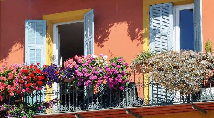 Fiori sul balcone