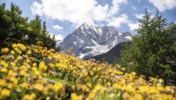 Primavera in Alto Adige