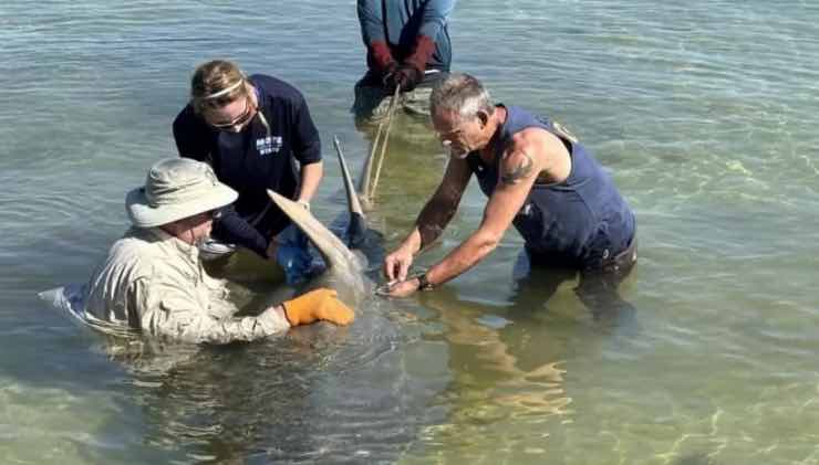 Ritrovamento in spiaggia