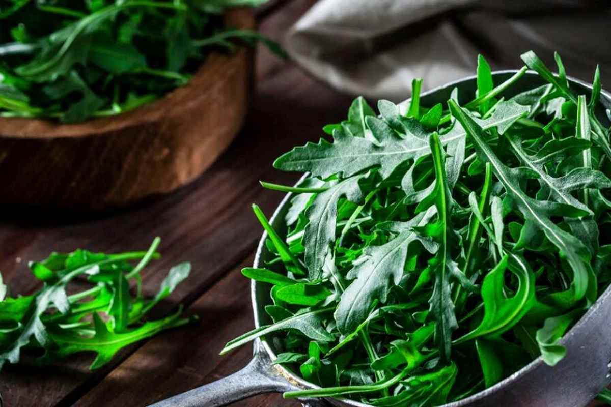 Rucola benessere