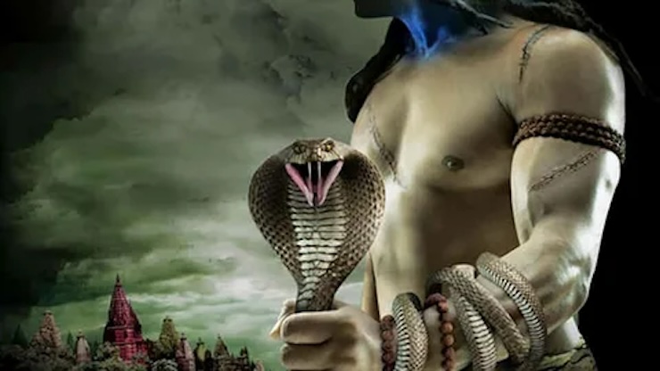 serpente e Shiva