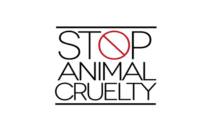 stop alla crudeltà sugli animali