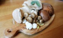 Le sagre di Ottobre